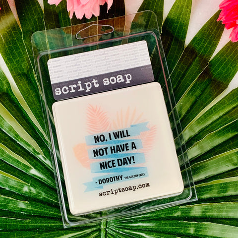 NO! I WILL NOT HAVE A GOOD DAY! Script Soap