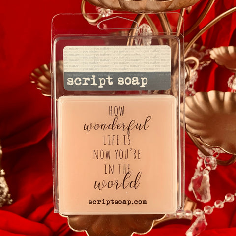 HOW WONDERFUL LIFE IS... Script Soap