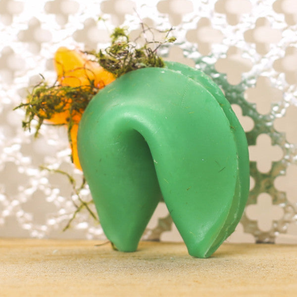 AQUA SCUM Fortune Cookie Soap - Fortune Cookie Soap