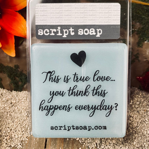 THIS IS TRUE LOVE. YOU THINK THIS HAPPENS EVERYDAY? Script Soap