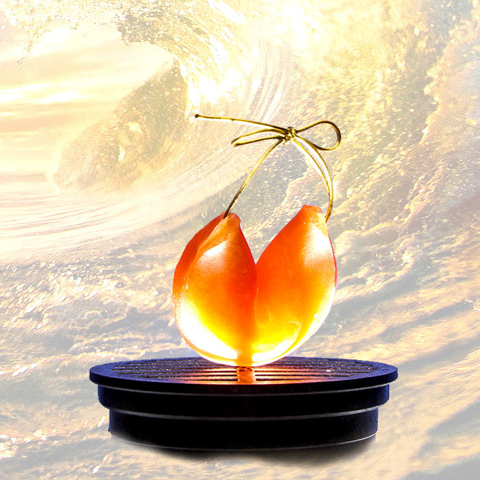 Nuts & Volts Fortune Cookie Soap - Fortune Cookie Soap - 1
