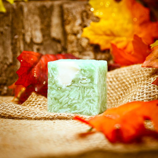 CABIN FEVER Shampoo Bar