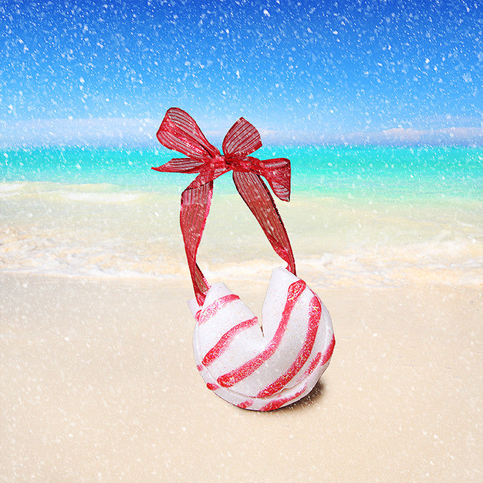 Santa Delivered Fortune Cookie Soap - Fortune Cookie Soap