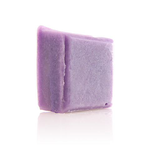 I Wet My Plants Solid Conditioner Bar 2 oz - Fortune Cookie Soap