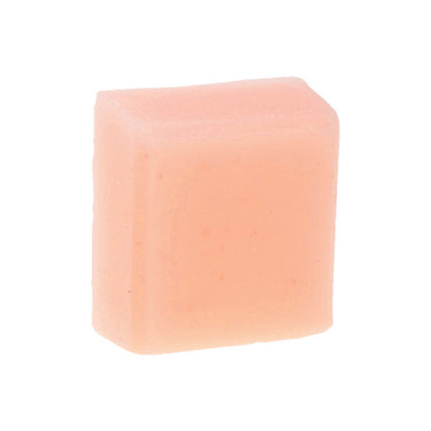 Do You Salsa Or Mango? Solid Conditioner Bar - Fortune Cookie Soap